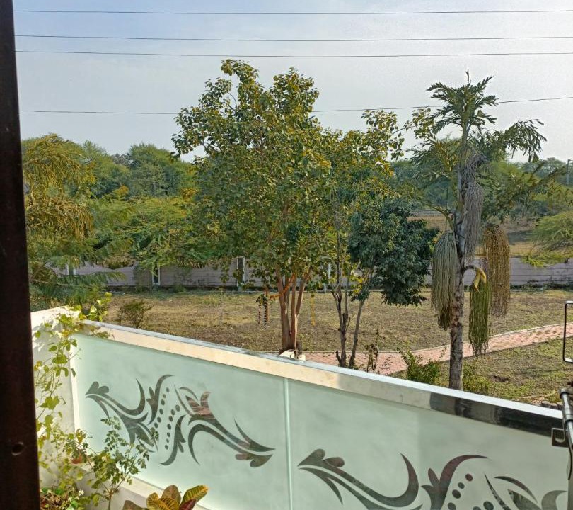 Photo of Others in Ujjain