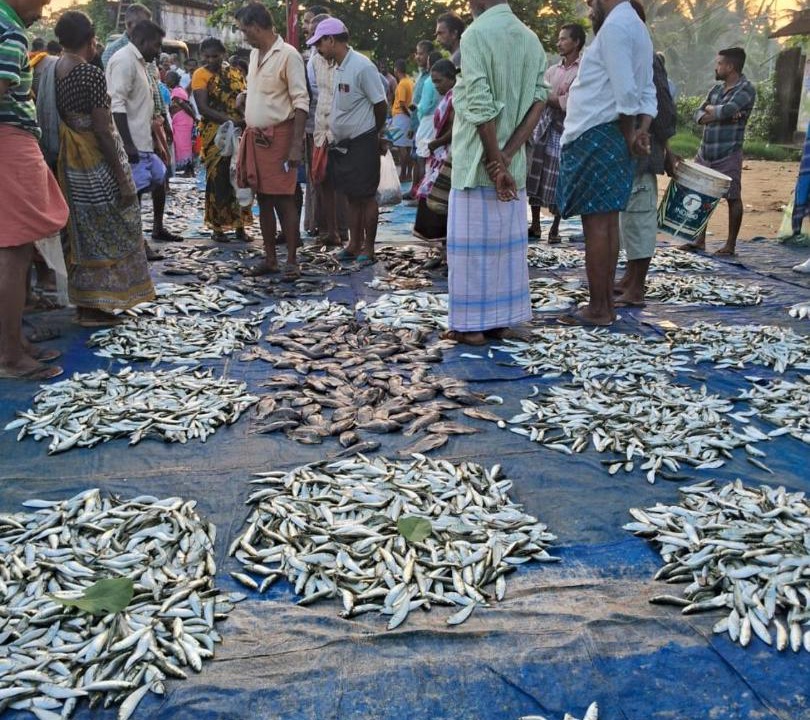 Photo of Others in Cherthala