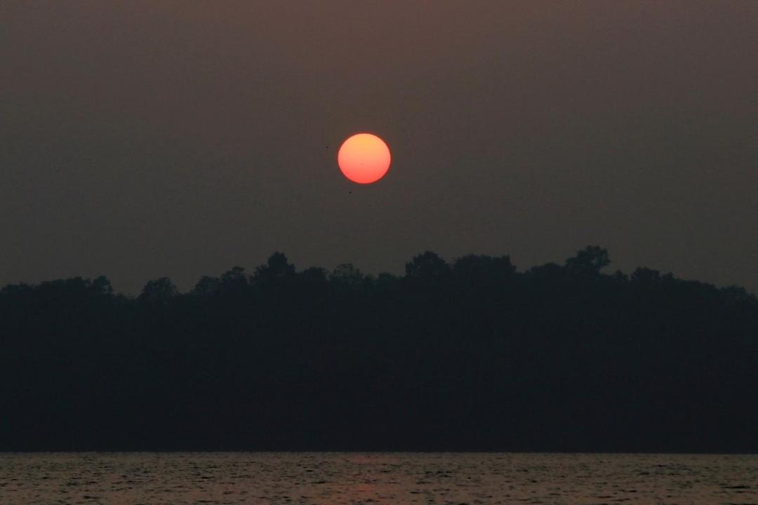Photo of Others in Munroe Island