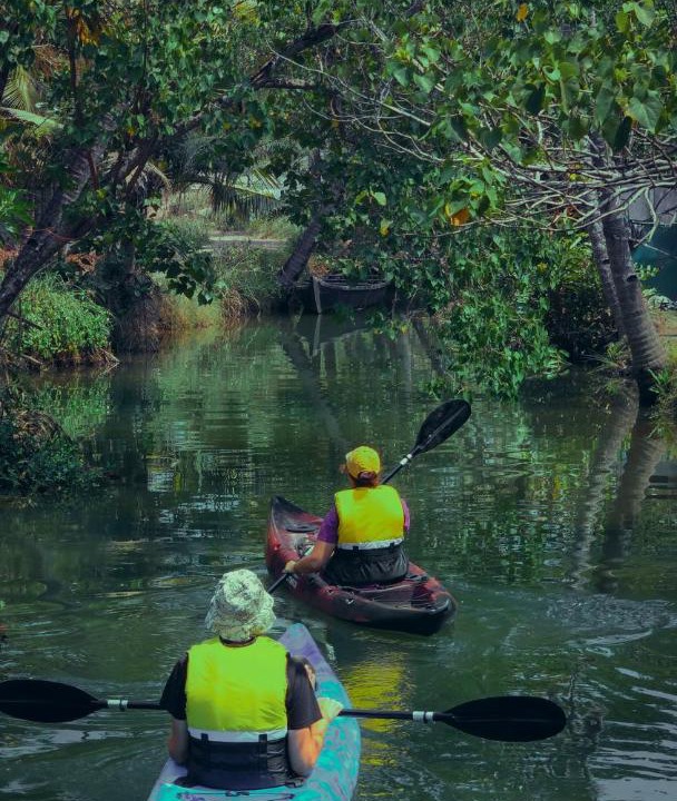 Photo of Others in Munroe Island