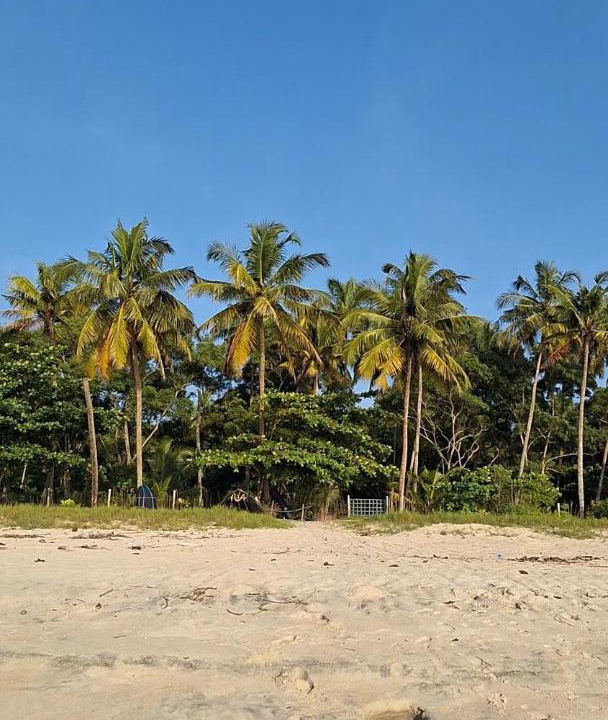 Photo of Others in Alappuzha