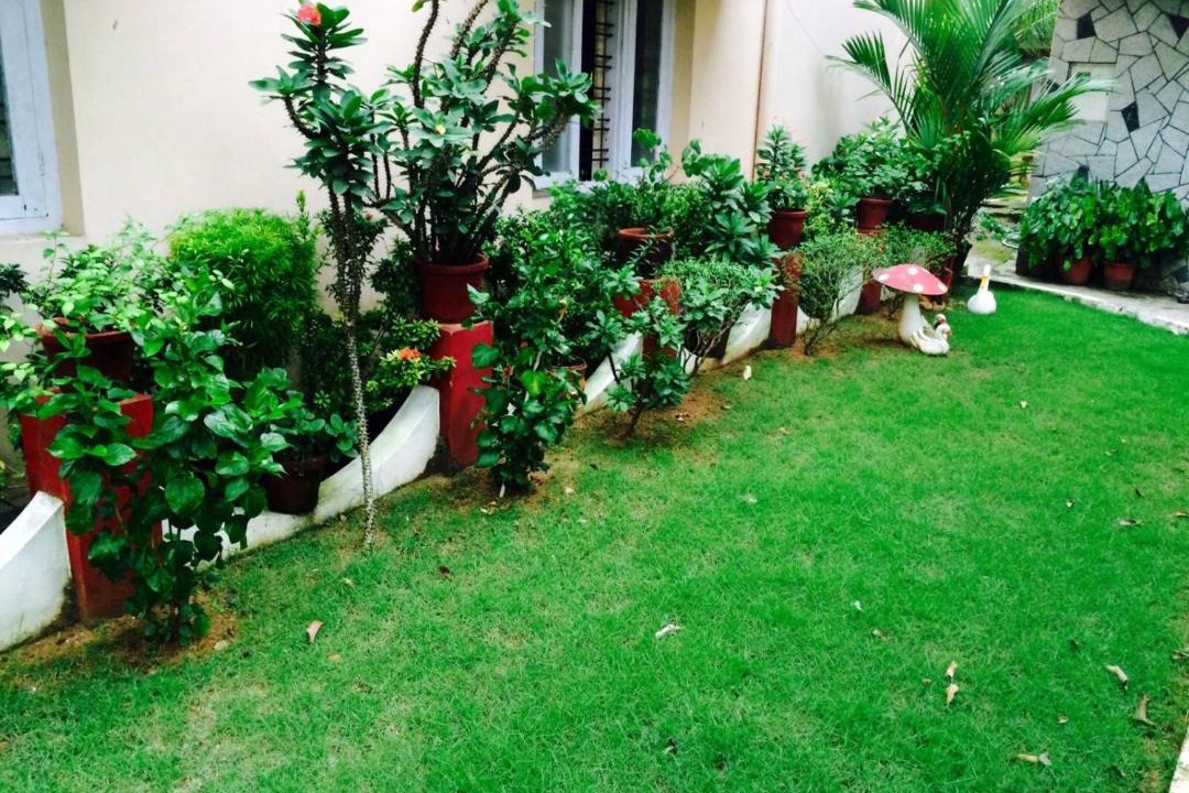 Photo of Others in Fort Kochi