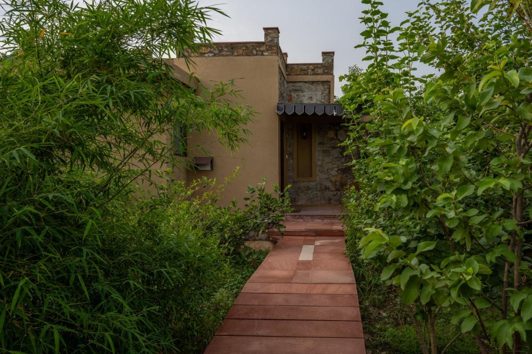 Photo of Others in Sariska
