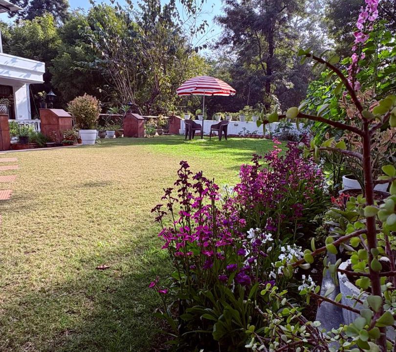 Photo of Others in Sainik Farm