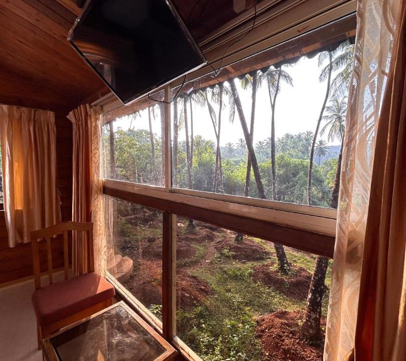 Photo of Others in Agonda