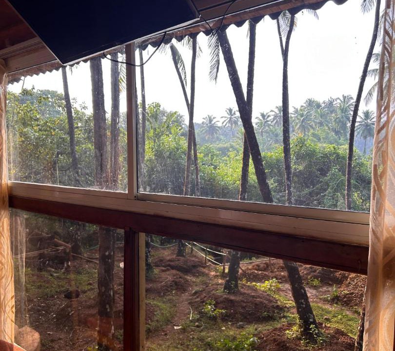 Photo of Others in Agonda