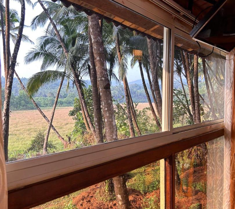 Photo of Patio Balcony in Agonda
