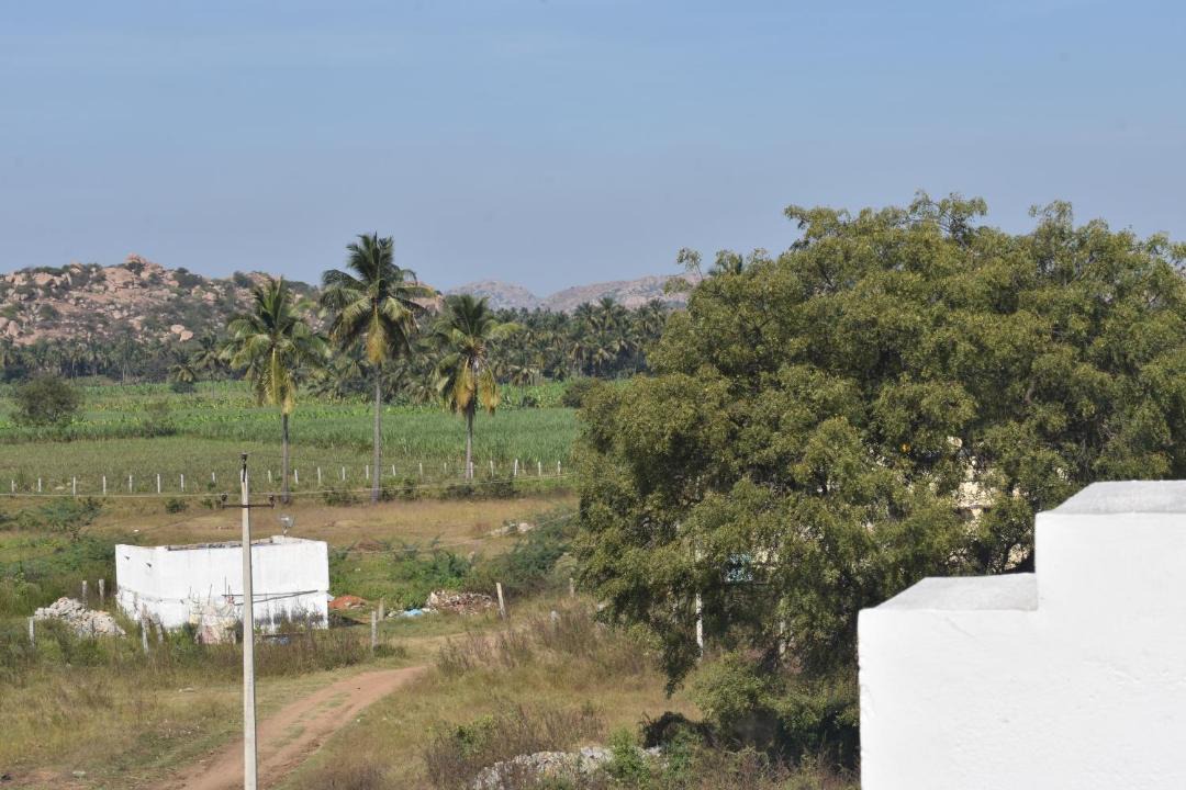 Photo of Others in Kamalapur