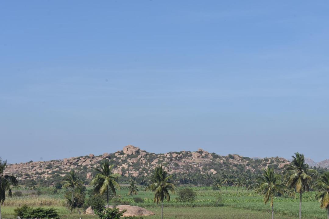 Photo of Others in Kamalapur