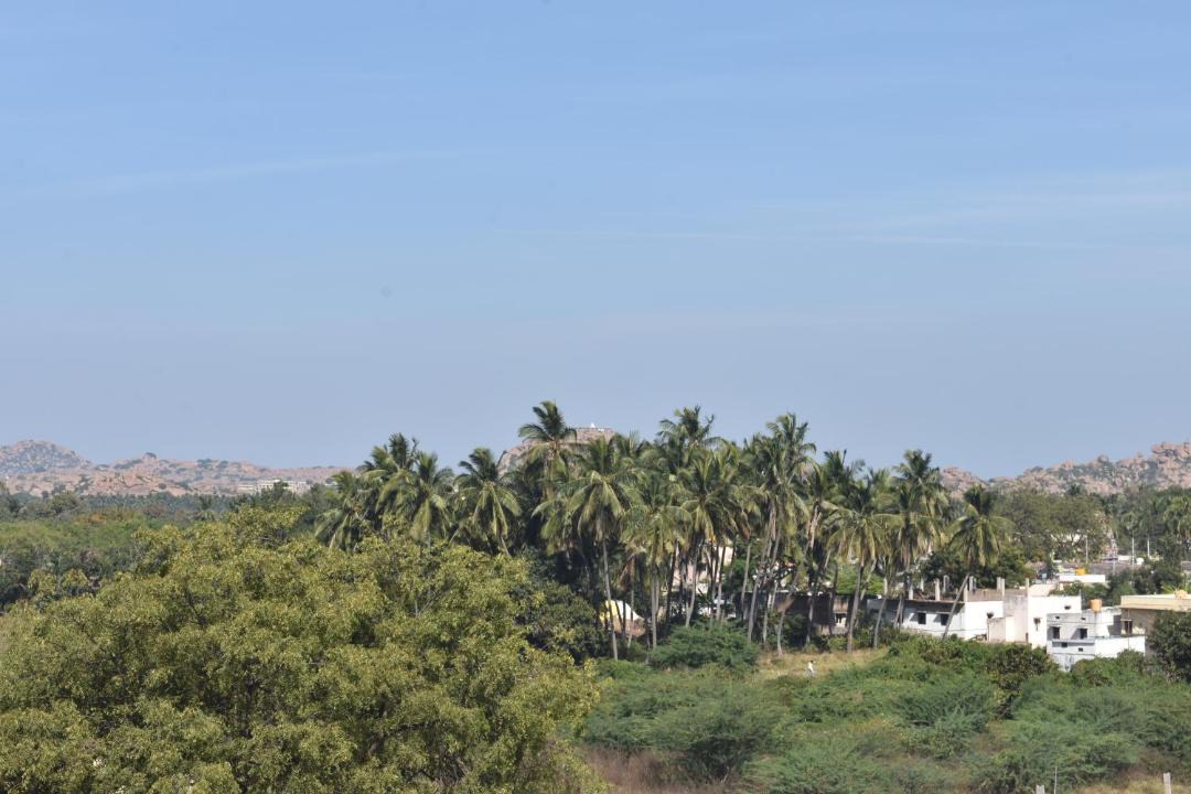 Photo of Others in Kamalapur