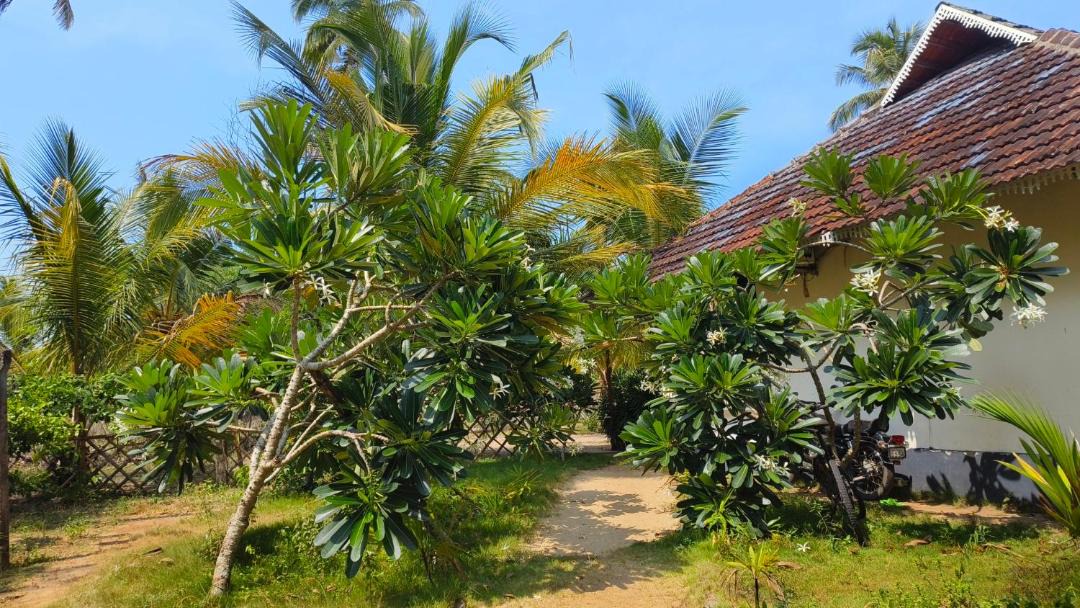 Photo of Others in Mararikulam