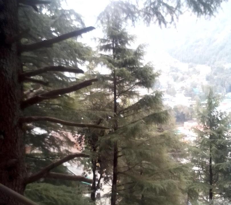 Photo of Others in McLeod Ganj