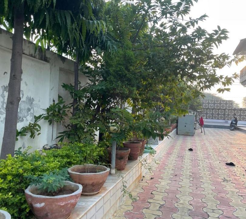 Photo of Others in Rajawas