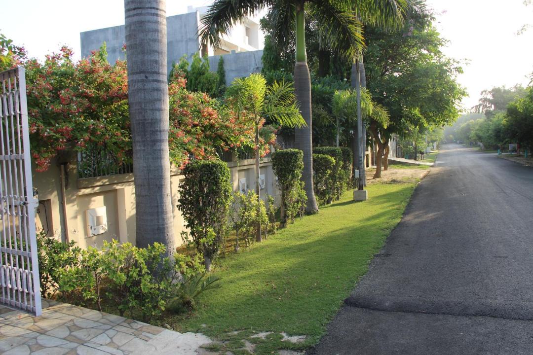 Photo of Others in Greater Noida
