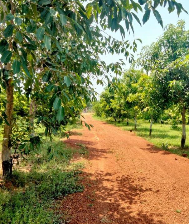 Photo of Others in Jhargram