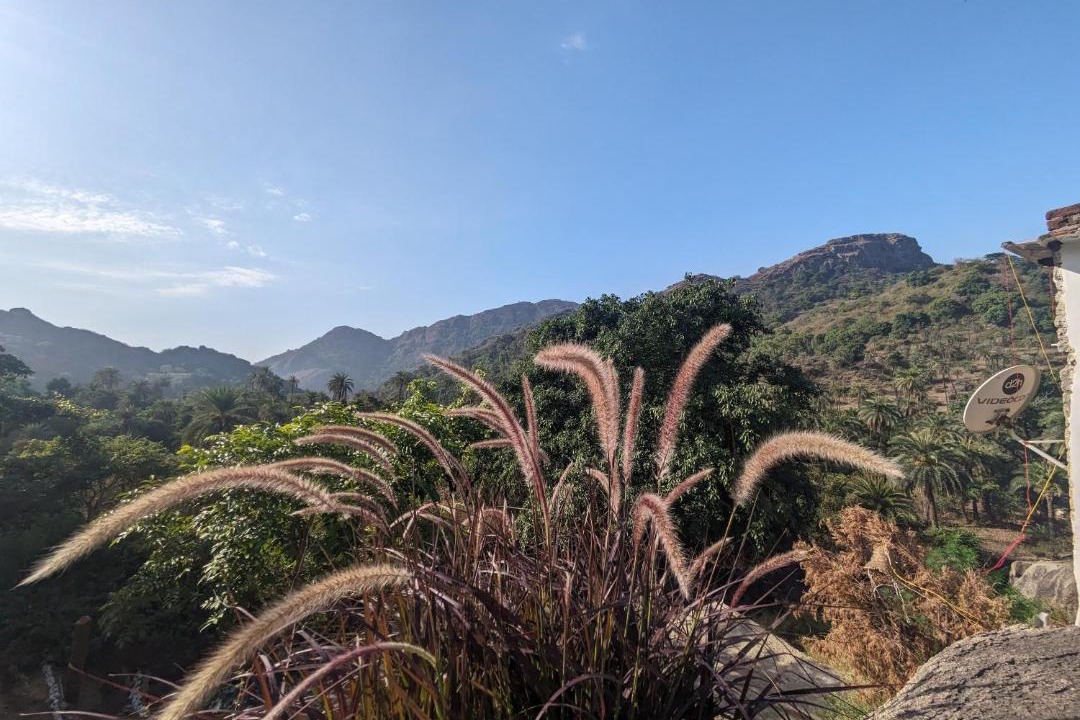 Photo of Others in Mount Abu