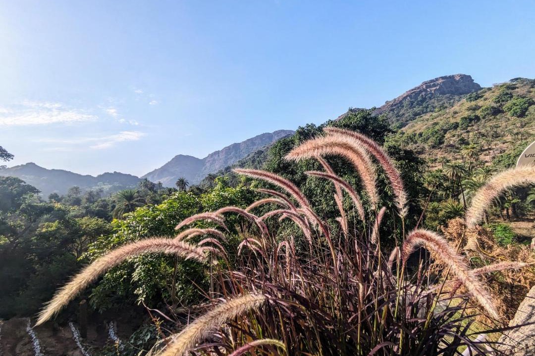 Photo of Others in Mount Abu