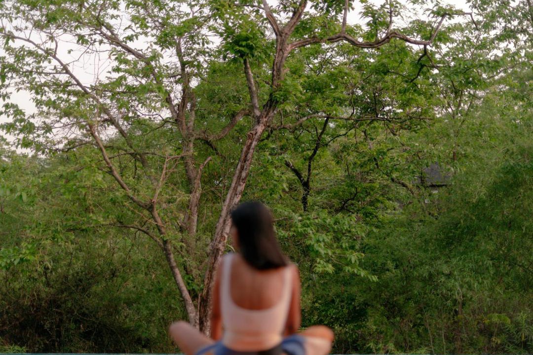 Photo of Others in Netravali