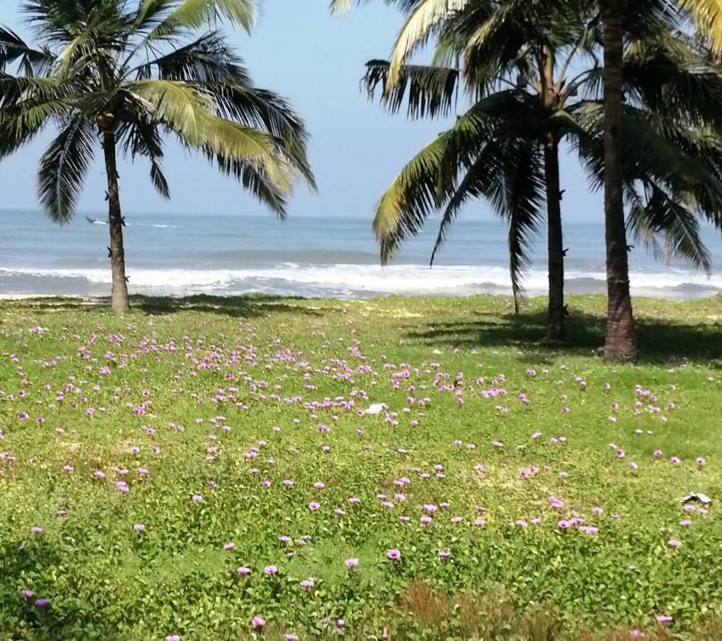 Photo of Others in Kodungallur