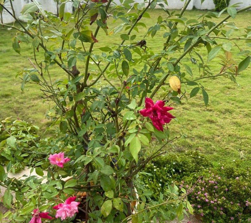 Photo of Outdoor in Kadadhe
