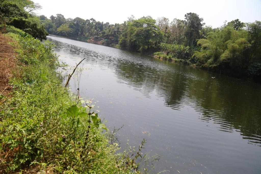 Photo of Others in Kumaranalloor