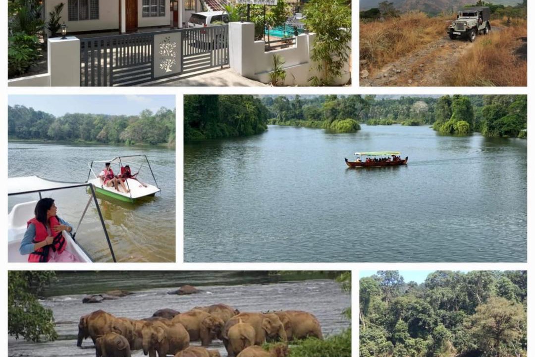 Photo of Others in Devikolam