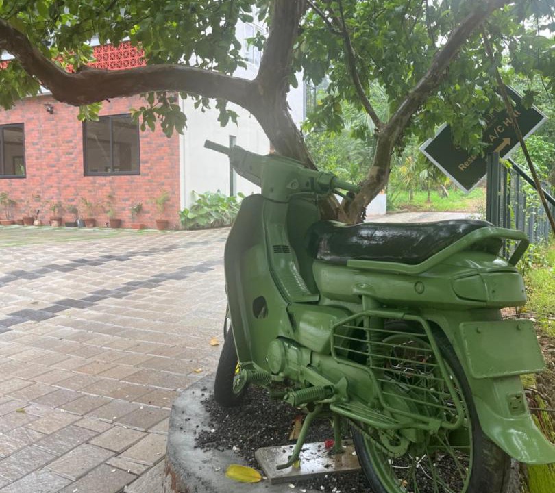 Photo of Outdoor in Todupulai