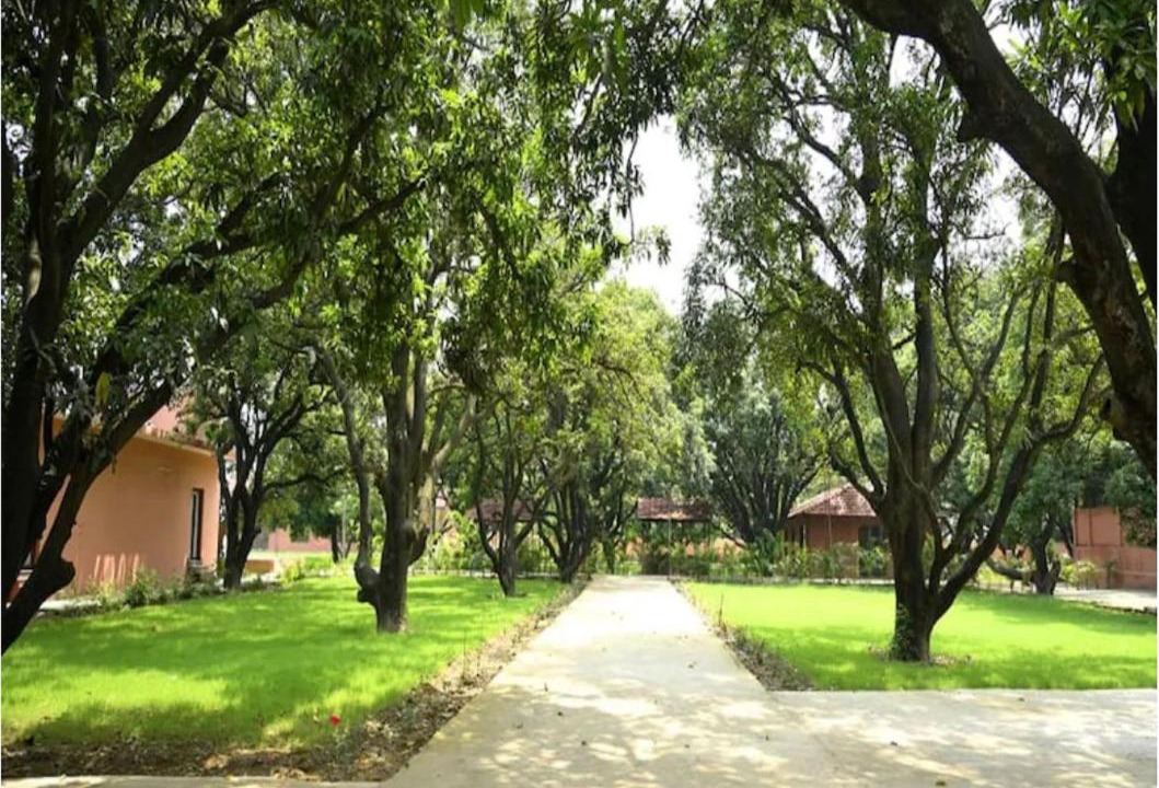 Photo of Others in Rudrapur
