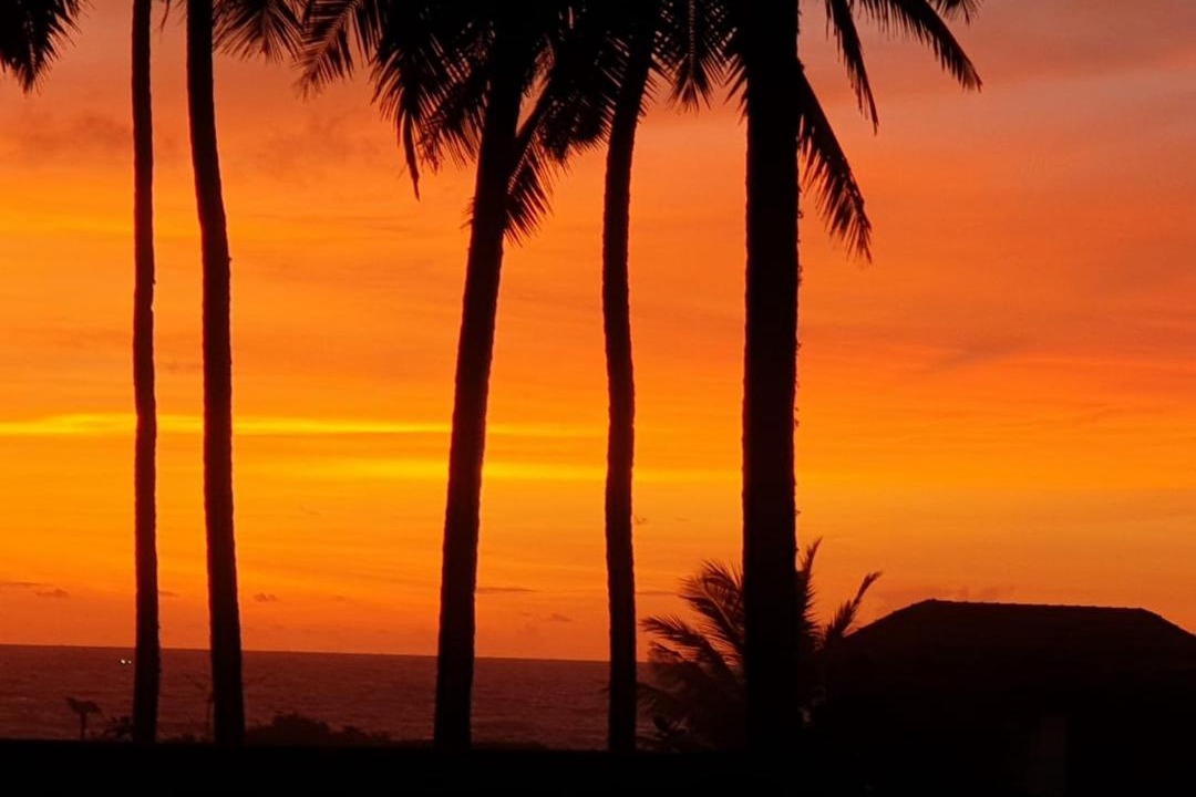 Photo of Others in Varkala