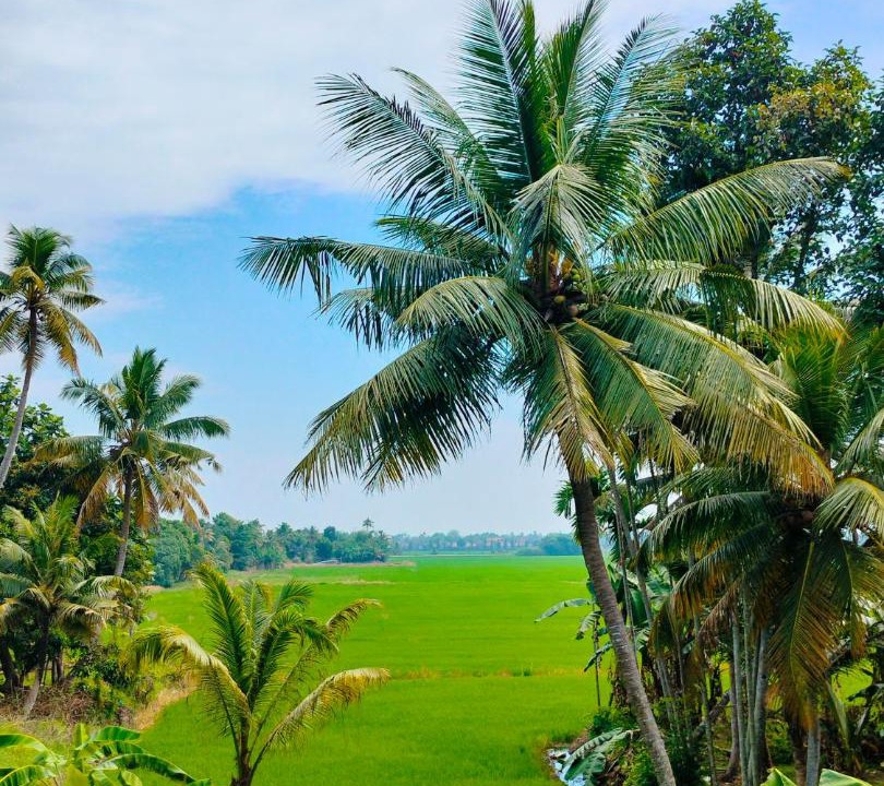 Photo of Others in Alappuzha