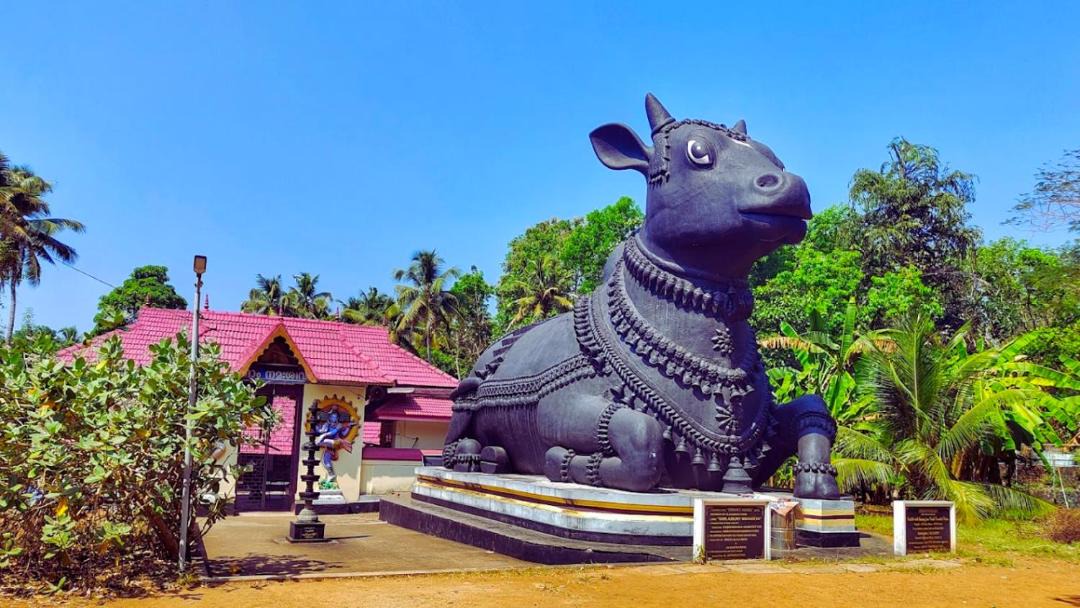 Photo of Others in Perumbavoor