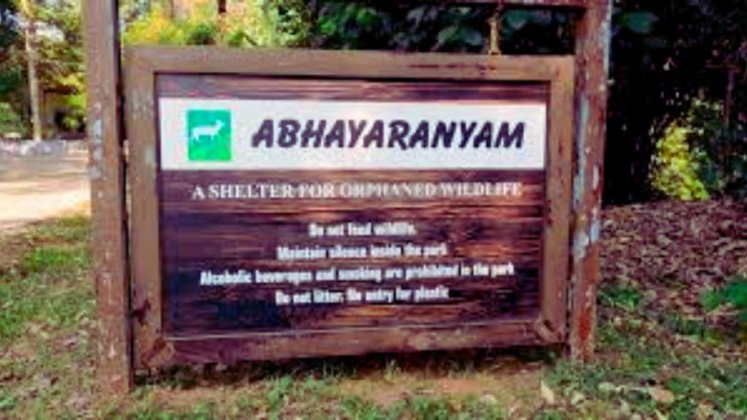 Photo of Others in Perumbavoor
