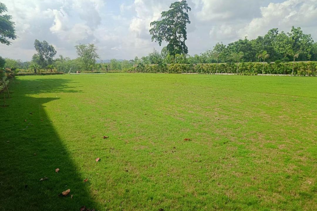 Photo of Outdoor in Bail Parao