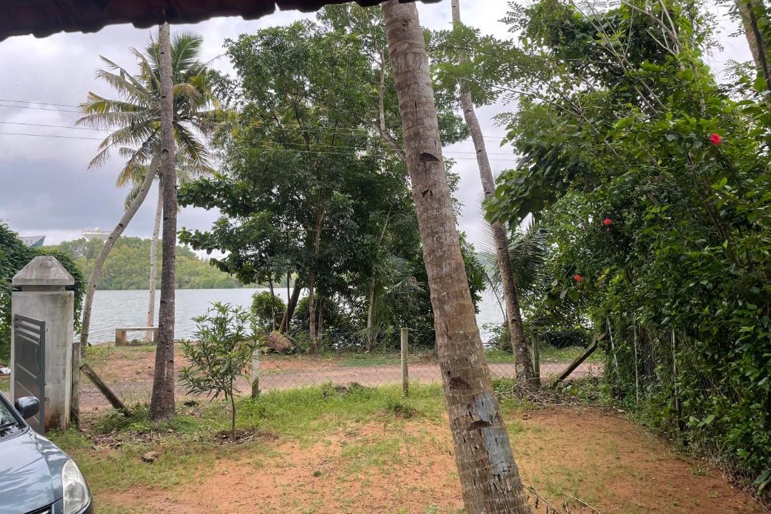 Photo of Others in Vellimon