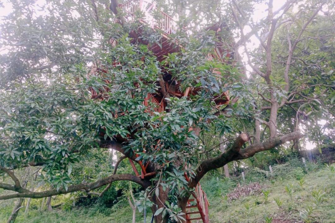 Photo of Outdoor in Mekkarai
