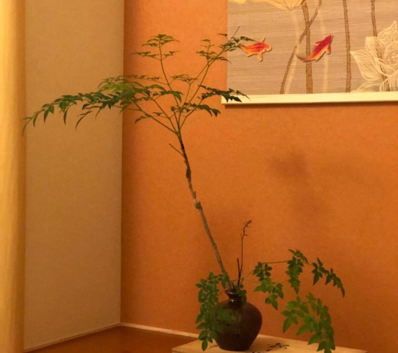 Photo of Bathroom in Fushimi