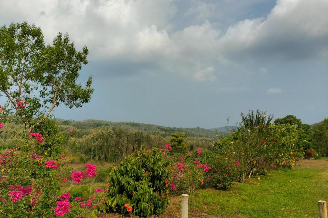 Photo of Others in Somvarpet