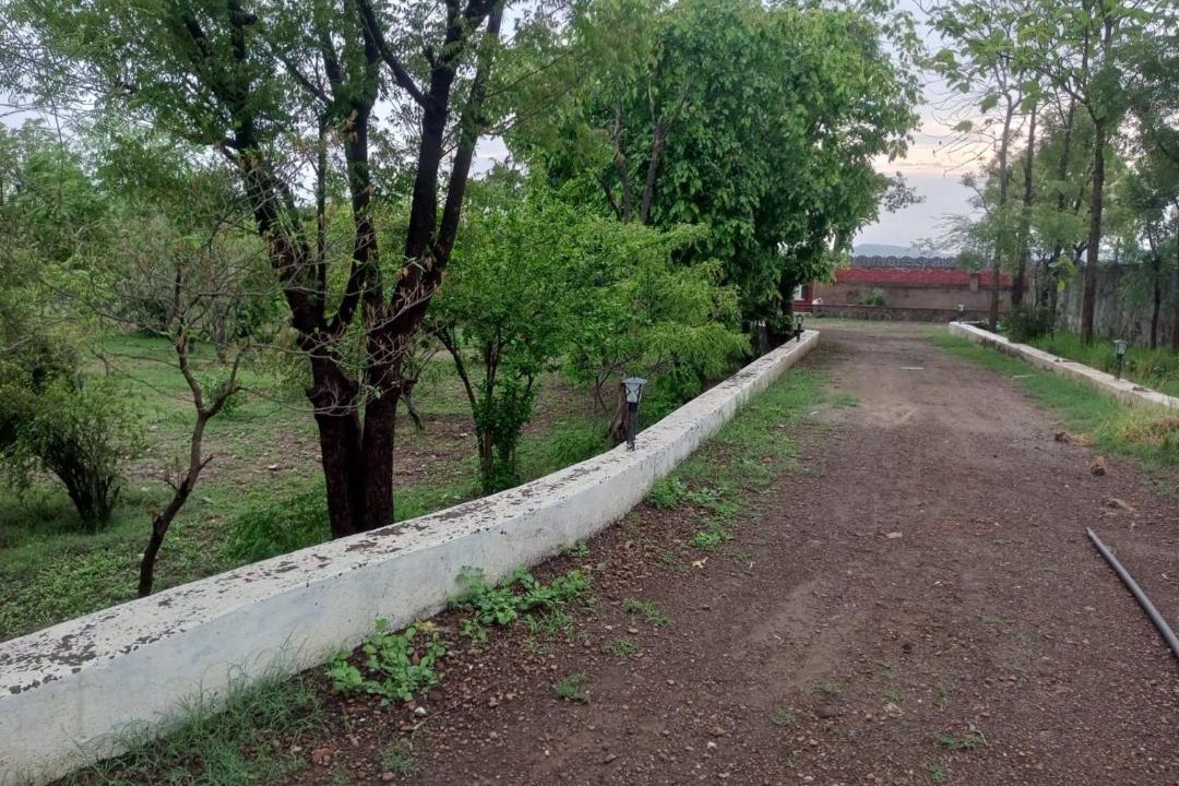 Photo of Others in Sariska