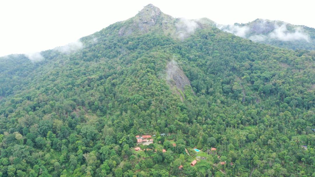 Photo of Others in Kalpetta