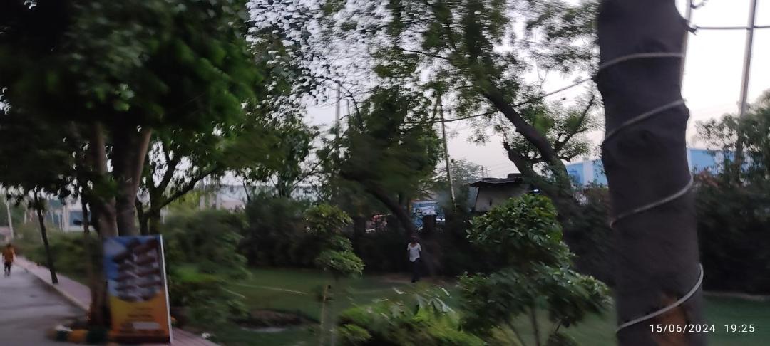 Photo of Others in Faridabad