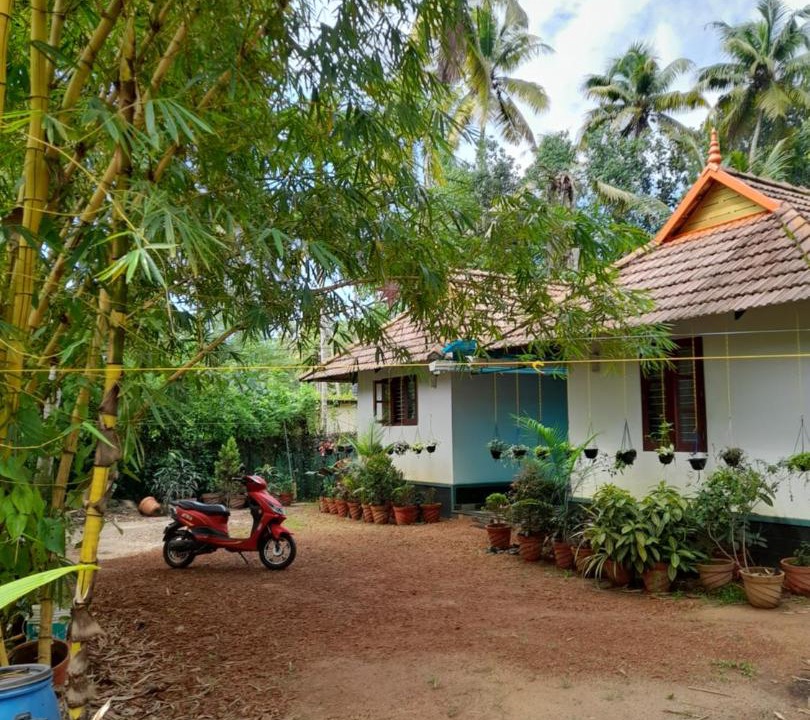Photo of Others in Karunagappally