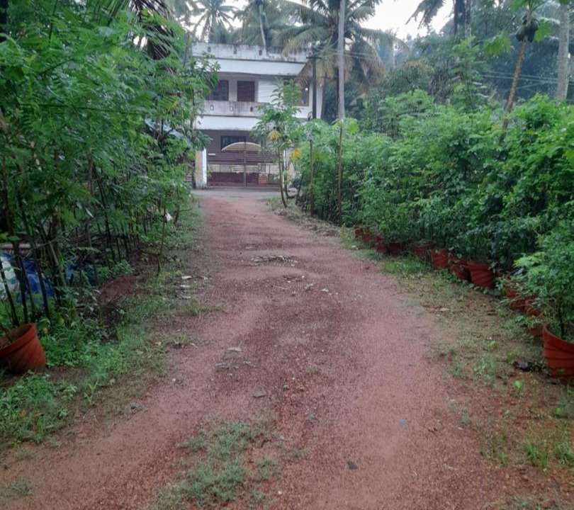 Photo of Others in Karunagappally