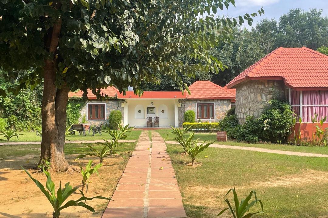 Photo of Buildings in Thana Gazi