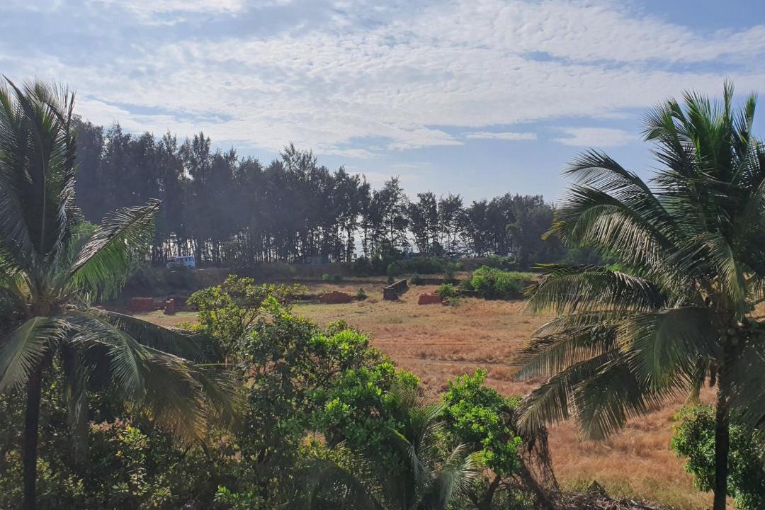 Photo of Others in Ratnagiri