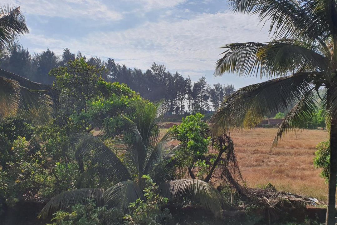 Photo of Others in Ratnagiri
