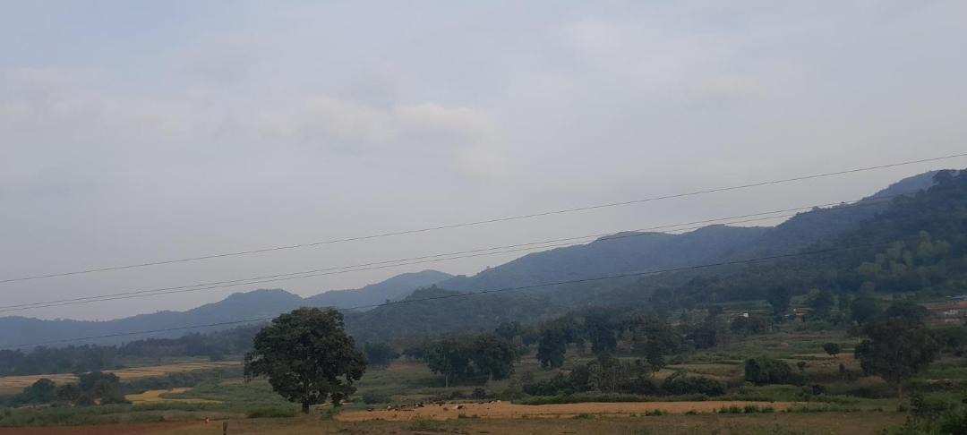 Photo of Others in Chintapalle