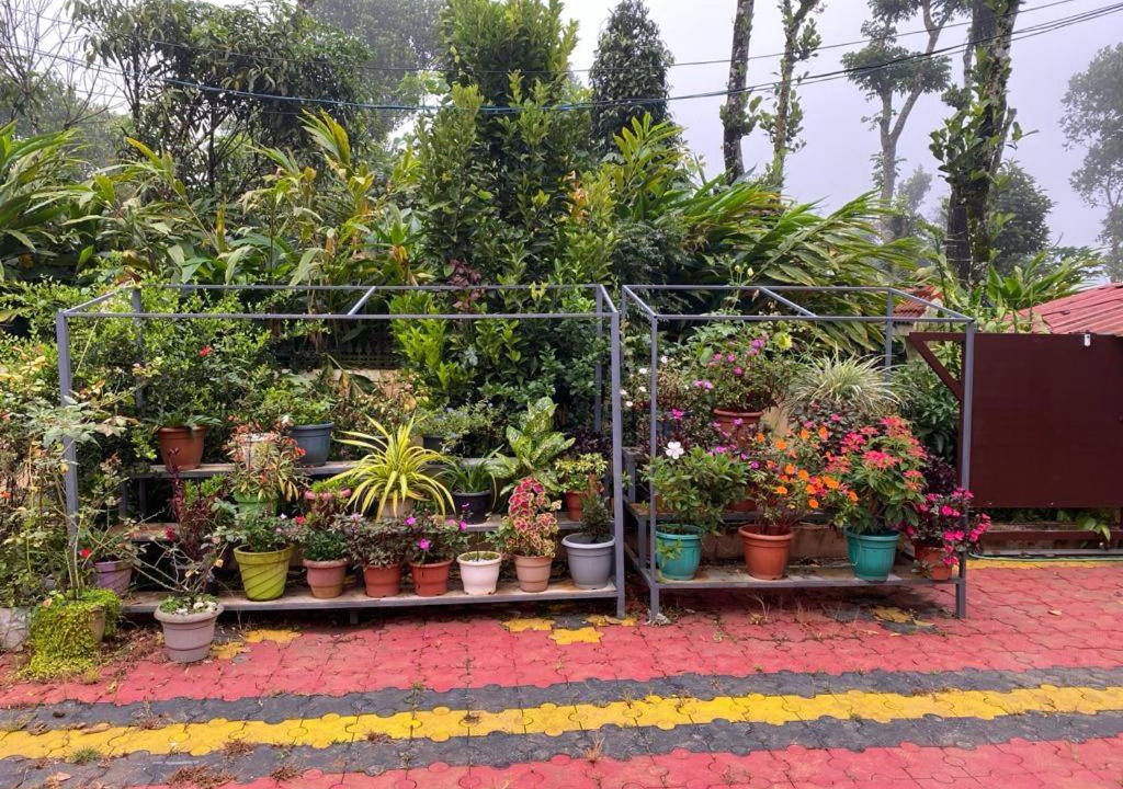 Photo of Others in Elappara