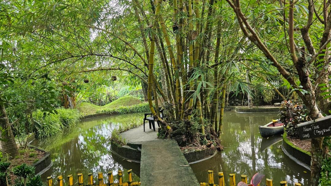 Photo of Others in Nedumangad