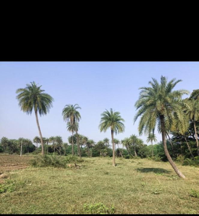 Photo of Others in Rau
