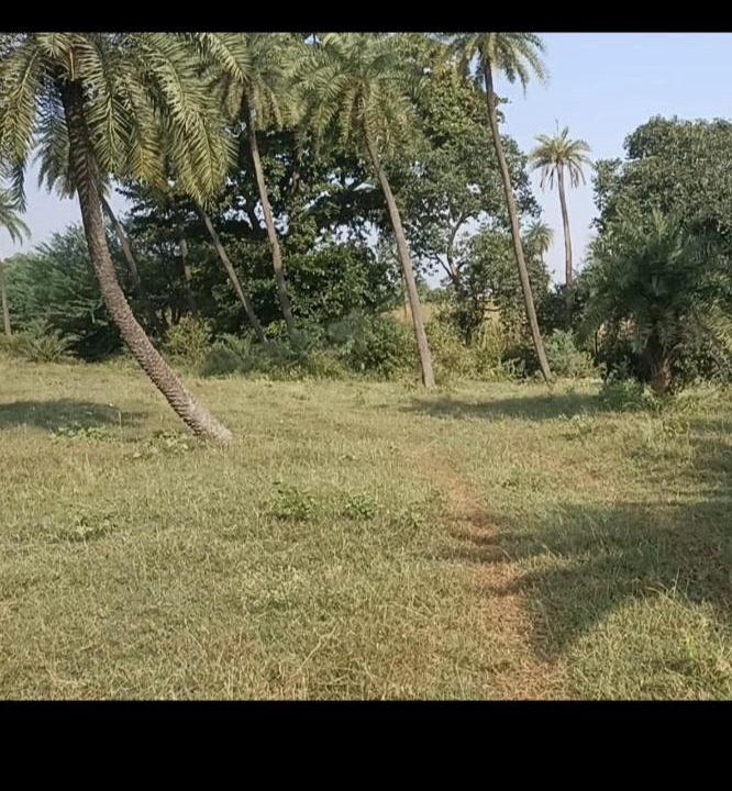 Photo of Others in Rau